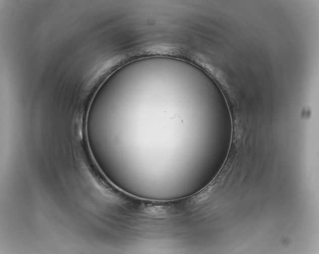 X0000093530062200710261301