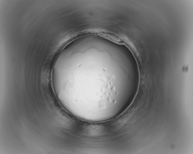 X0000093530063200710261301