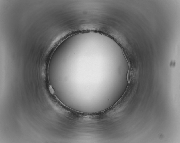 X0000093530064200710261301