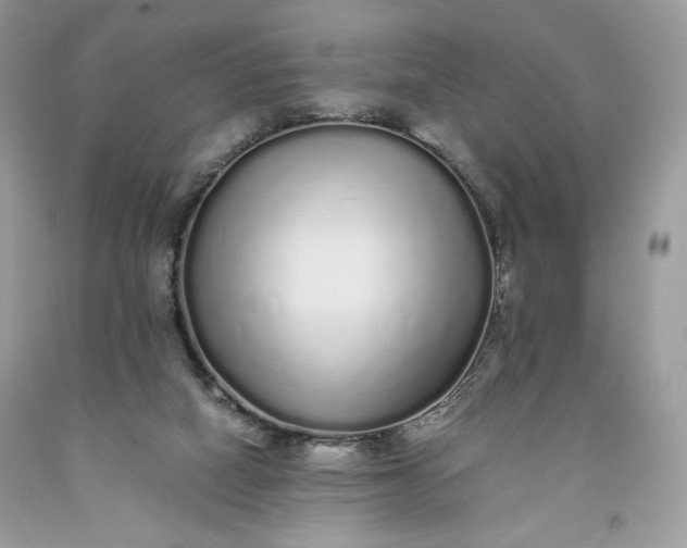 X0000093530066200710261301