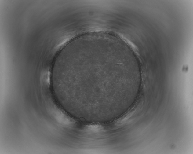 X0000093530067200710261301