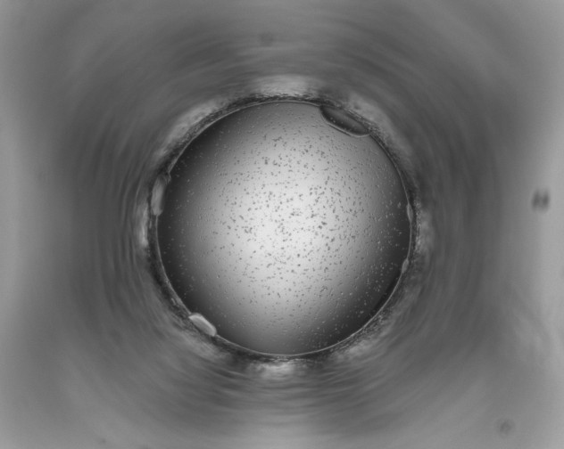 X0000093530068200710261301