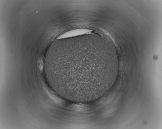 X0000093530069200710261301