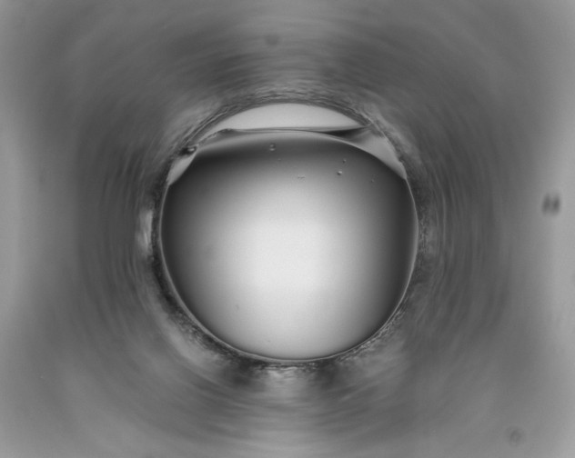 X0000093530070200710261301