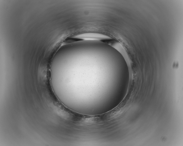 X0000093530072200710261301