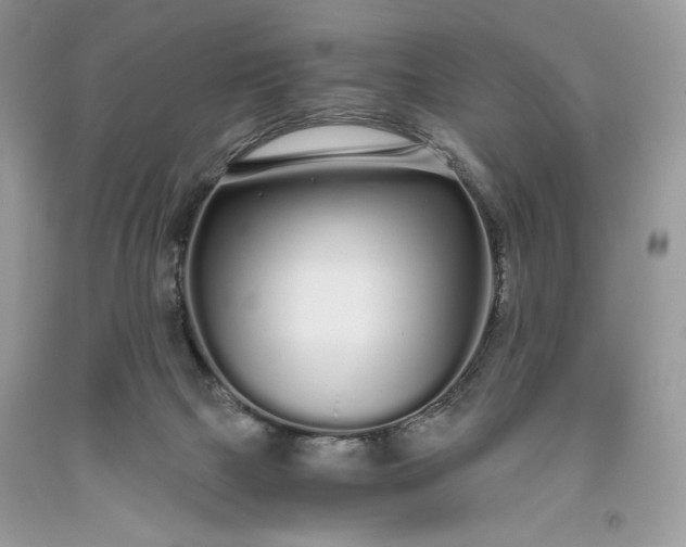 X0000093530073200710261301