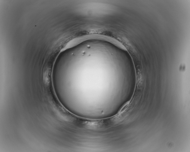 X0000093530074200710261301