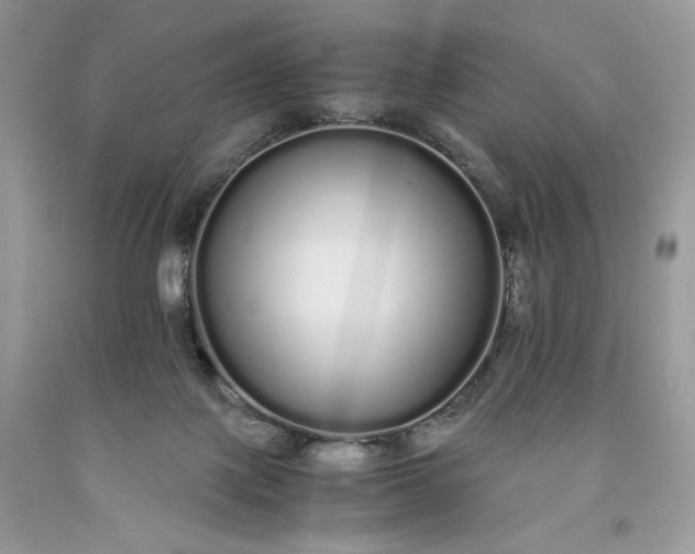 X0000093530075200710261301