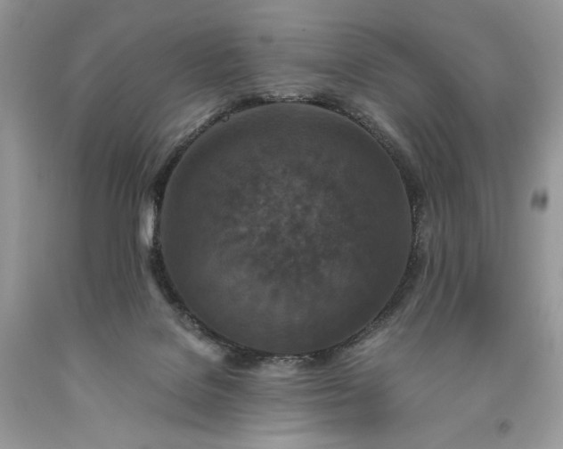 X0000093530076200710261301