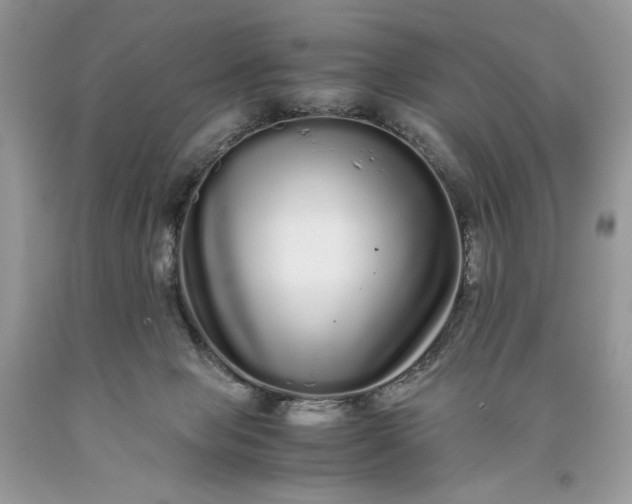 X0000093530077200710261301