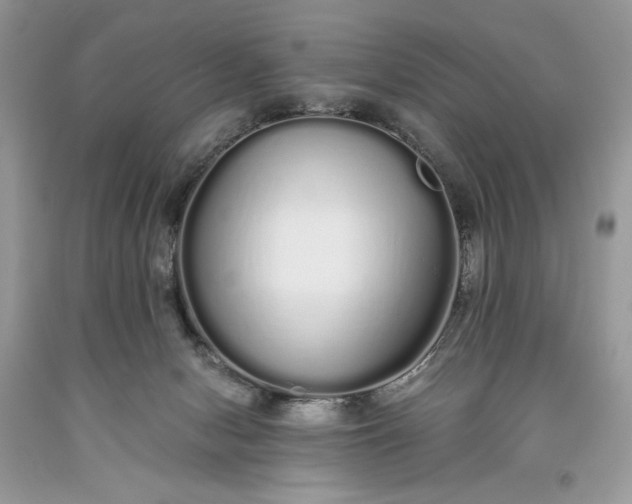 X0000093530078200710261301