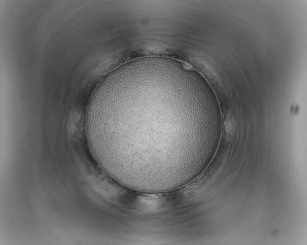 X0000093530079200710261301