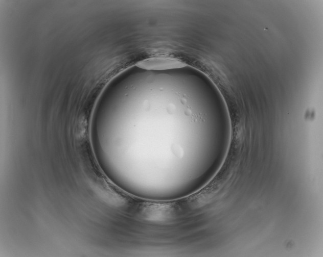 X0000093530081200710261301