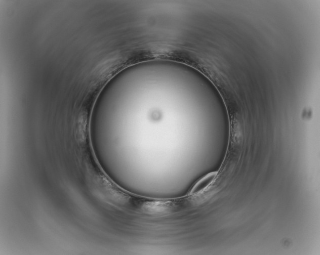 X0000093530082200710261301