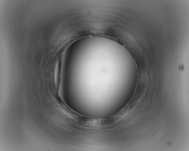 X0000093530084200710261301