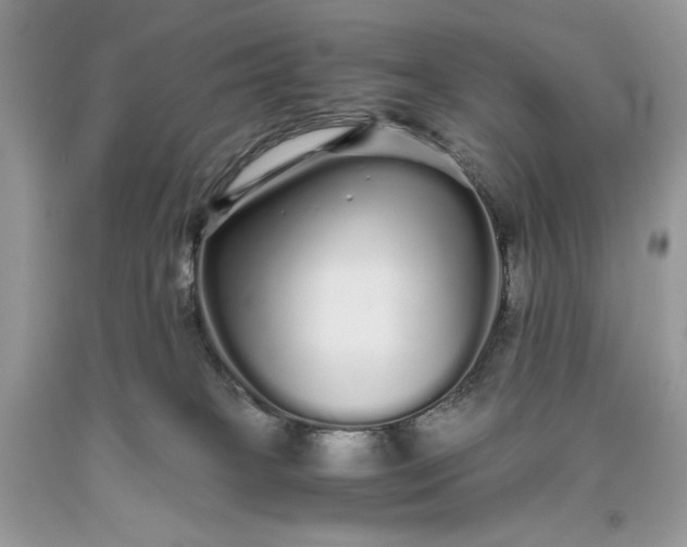 X0000093530085200710261301