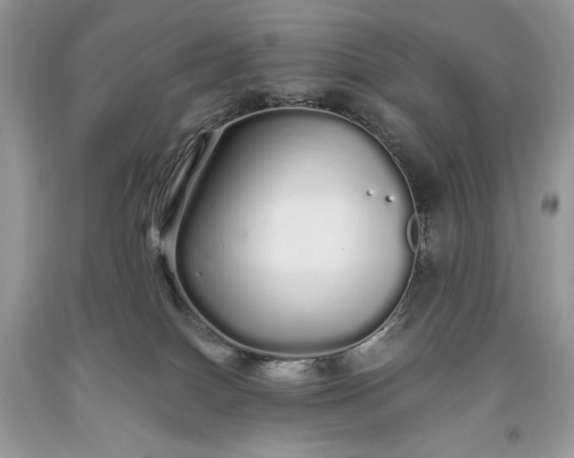 X0000093530086200710261301