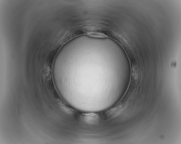 X0000093530087200710261301