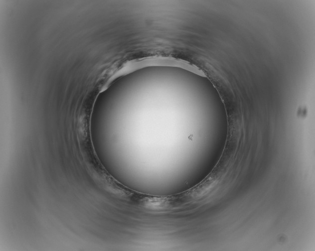 X0000093530088200710261301