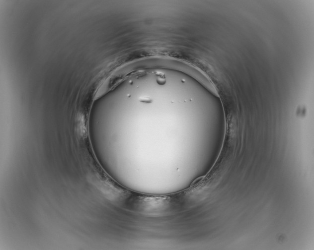 X0000093530089200710261301