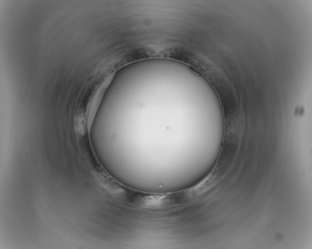 X0000093530090200710261301