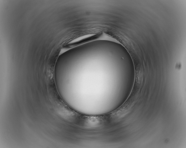 X0000093530091200710261301