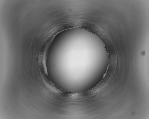 X0000093530092200710261301