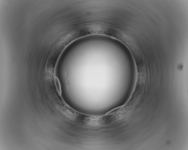 X0000093530093200710261301