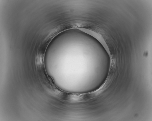 X0000093530094200710261301