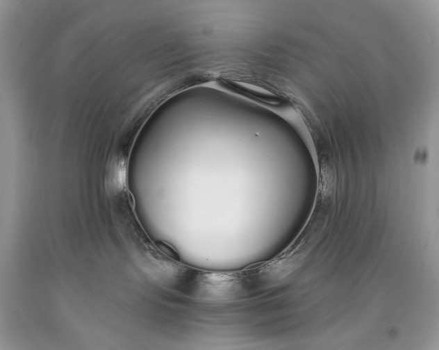 X0000093530095200710261301