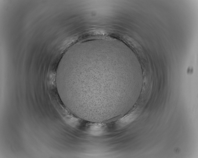 X0000093530096200710261301