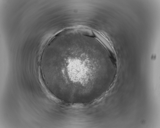 X0000093530097200710261300