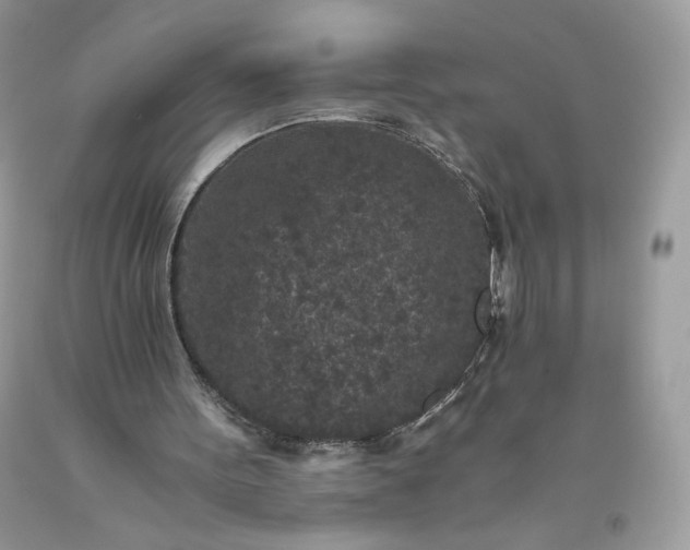 X0000093530099200710261300