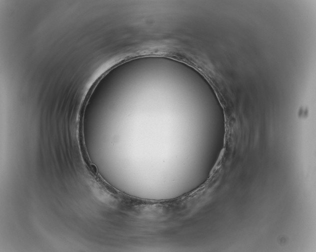 X0000093530100200710261300