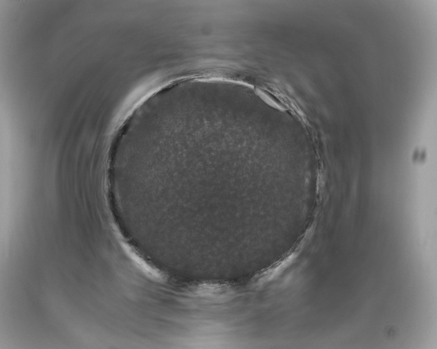 X0000093530101200710261300