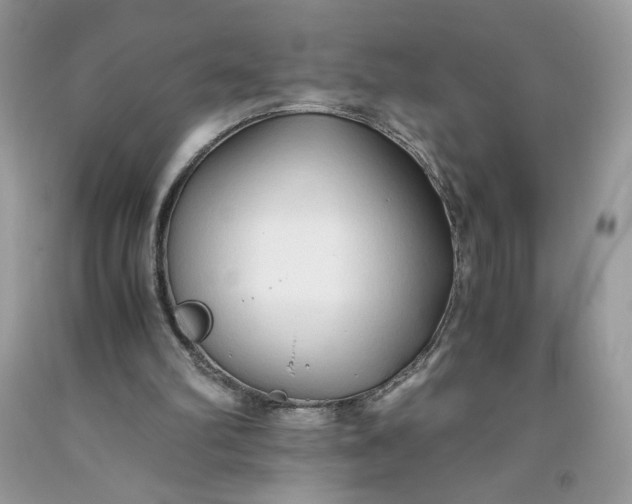 X0000093530102200710261300