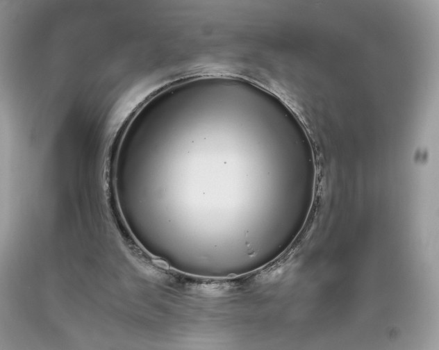 X0000093530103200710261300