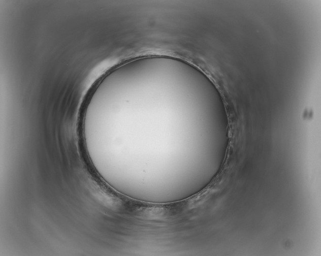 X0000093530104200710261300