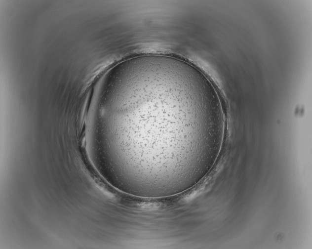 X0000093530105200710261300