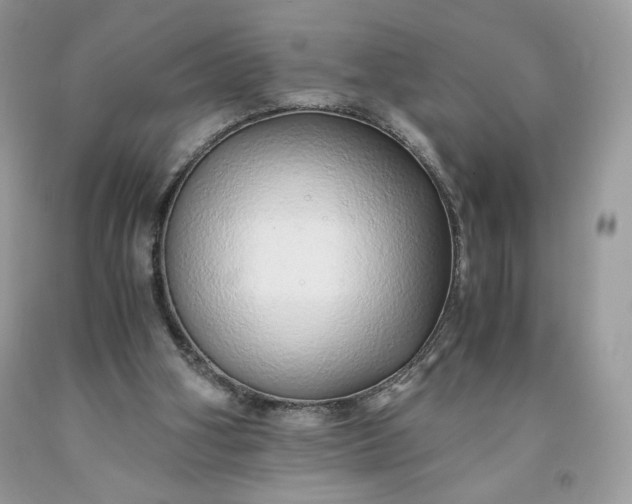 X0000093530106200710261300