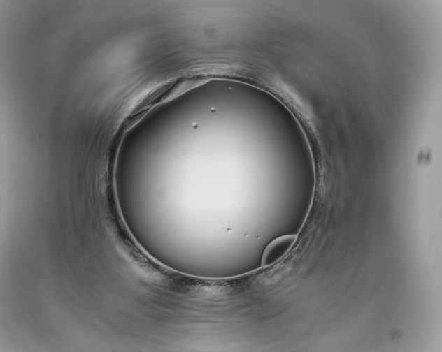 X0000093530107200710261300