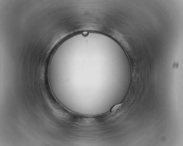 X0000093530108200710261300