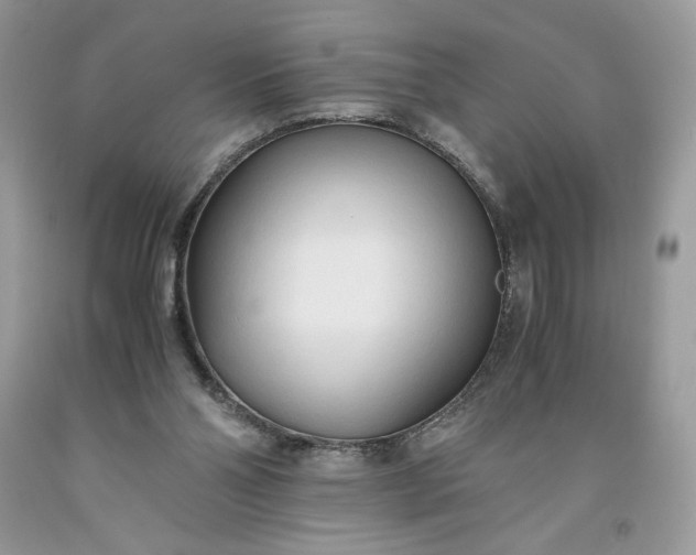 X0000093530110200710261300