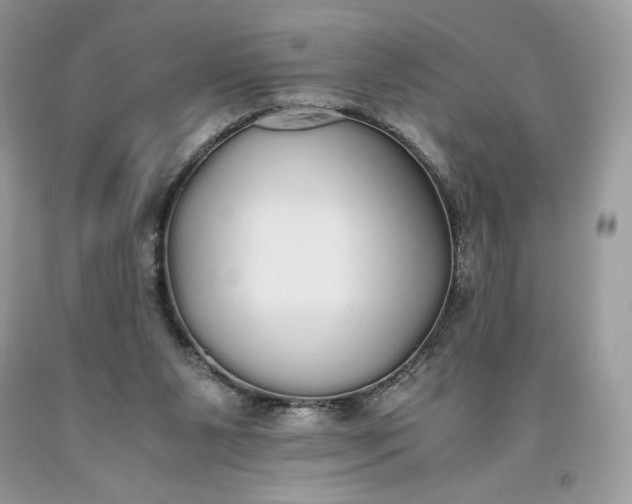 X0000093530111200710261300