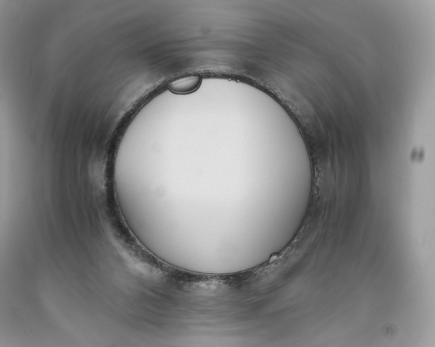 X0000093530112200710261300