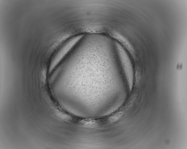 X0000093530113200710261300