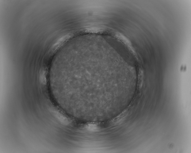 X0000093530114200710261300