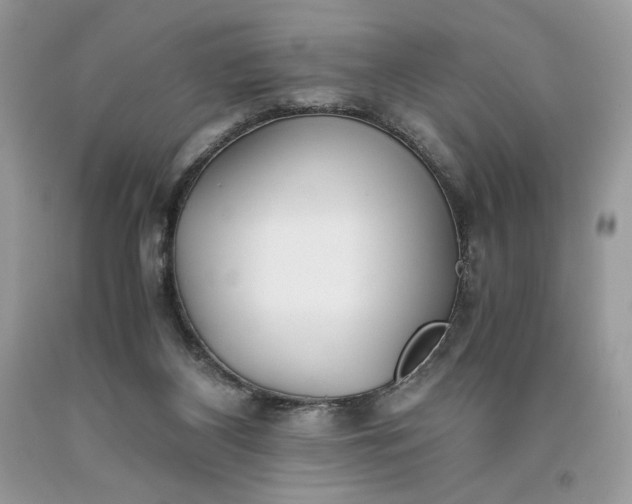 X0000093530116200710261300