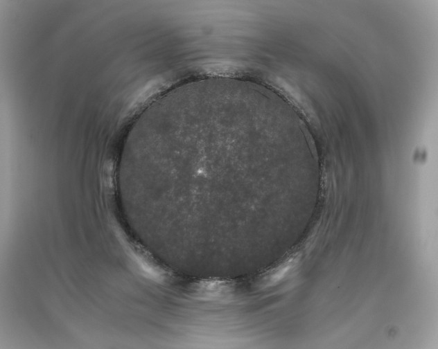 X0000093530117200710261300