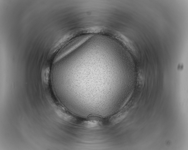 X0000093530118200710261300